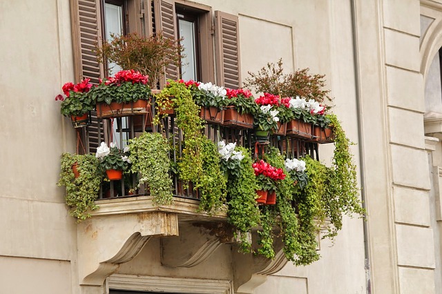 plný balkon květin